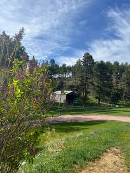 Homestead Place off of 385 - Central Black Hills