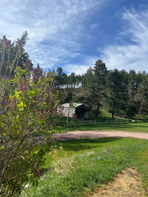 Homestead Place off of 385 - Central Black Hills