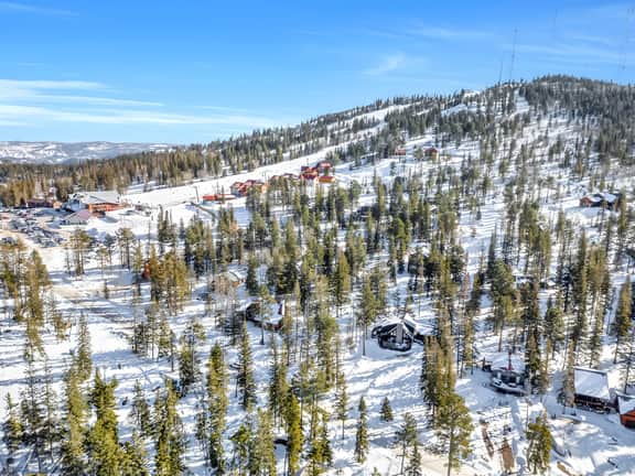 Wild Hare Lodge at Terry Peak